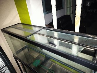 50 gallon tank
