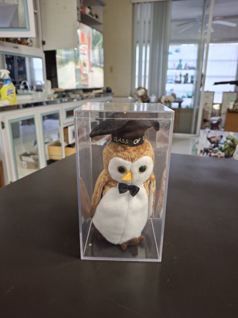 Collectible TY Beanie Babie Class 00 Owl " Wisest " In Display Case 7"