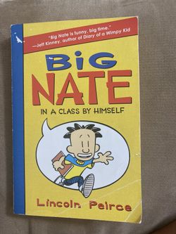 Big Nate Book