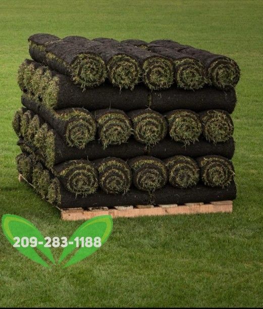 Best QUALITY Sod
