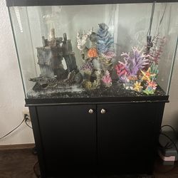 **50 Gallon Tank  W/ accessories**