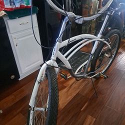 26" SCHWINN JAGUAR