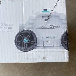 Sparkling Clean Pool