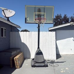 Free Basketball 