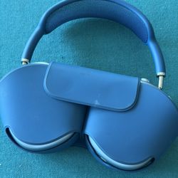 Apple Headphones 