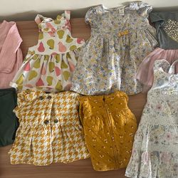 Baby Girl Clothes Lot 18M