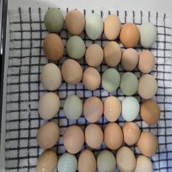 Farm Fresh Eggs