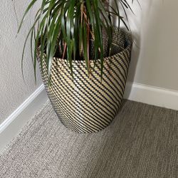 Planter 