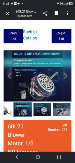 Blower motor