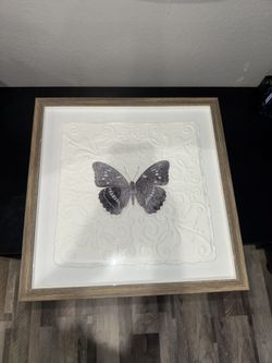 Butterfly Frame