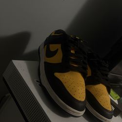 Nike dunk low