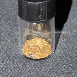 gold nuggets 