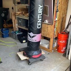 Freestanding Punching Bag With Gloves