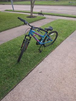 Bicycle