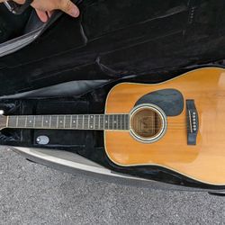 elezan acoustic guitar al-100