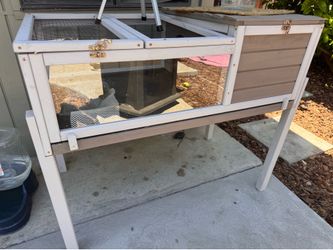 Outdoor Reptile Enclosure