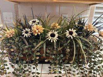 Window Planter Box