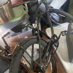 Beach Cruiser