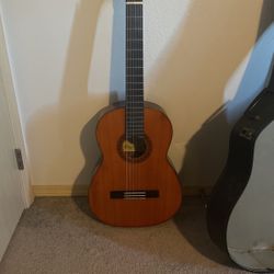 Acoustic guitar