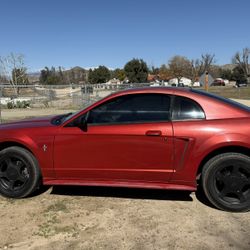 2002 Ford Mustang