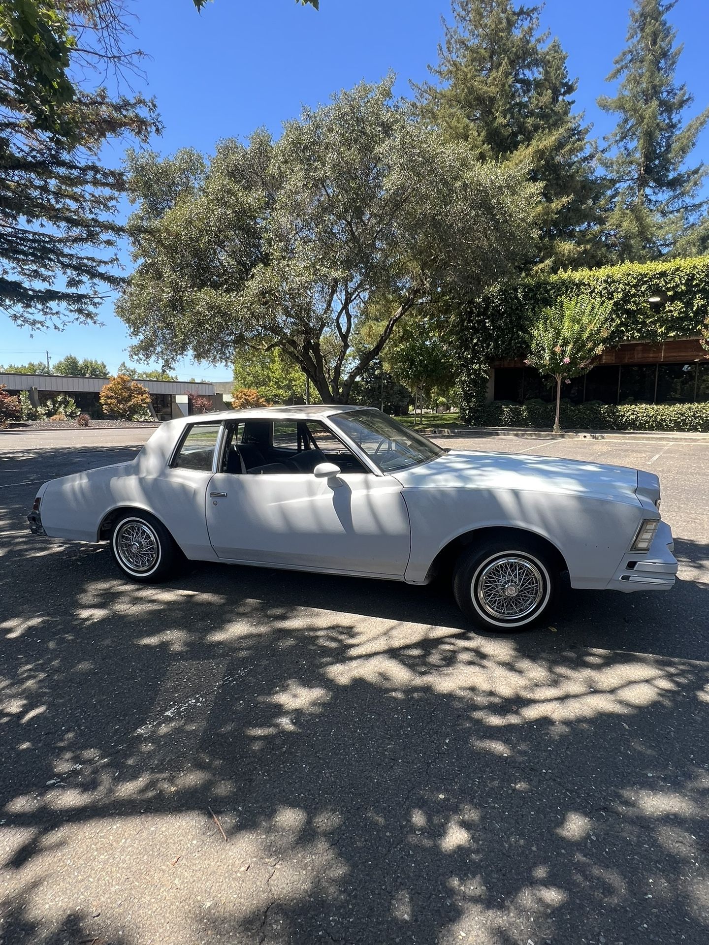 1979 Chevrolet Monte Carlo