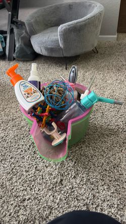 Guinea pig items