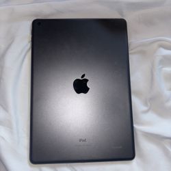Ipad 7th Generation