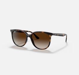 Ray bans sunglasses