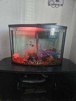 Fish tank