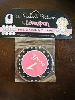 12 monthly Stickers