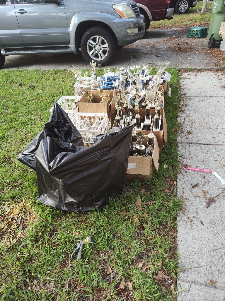 Bunch Of Trophies Of Various Sizes