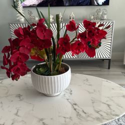 Red holiday orchid arrangement