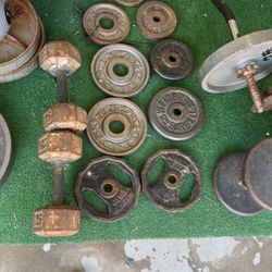 Weights Olympic And Standard Size