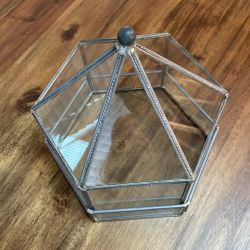 Glass Display Container/Terrarium