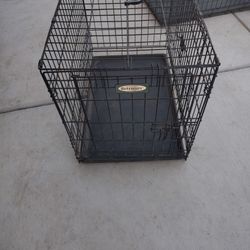 Dog Kennels