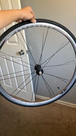 650 bontrager rim