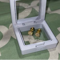 VVS1 Moissanite Stud Earrings with 925 Sterling Silver