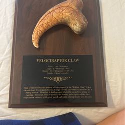 Velociraptor Claw Plaque