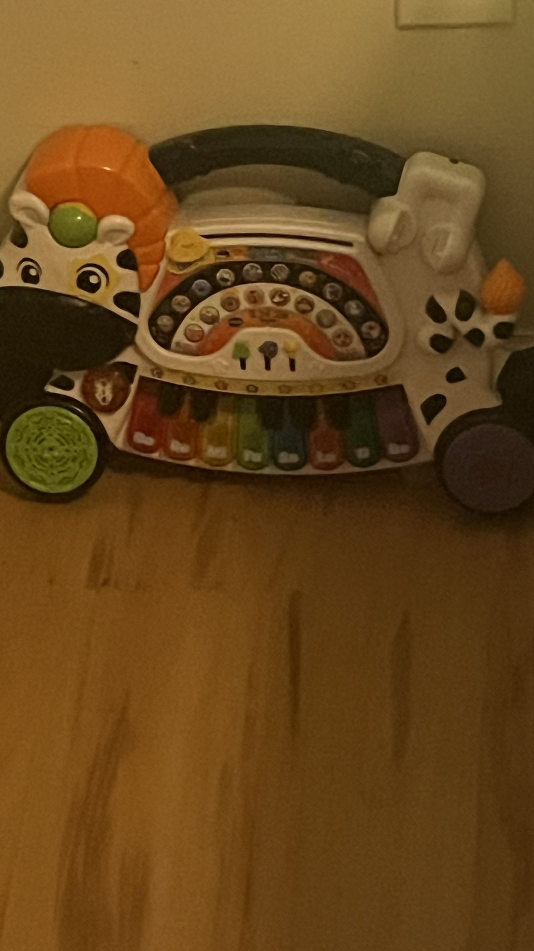 Magic Zebra Plays Music