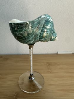 Unique Natural Sea Shell Goblet – Handcrafted Decorative Cup