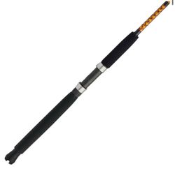 Ugly Stik Bigwater Casting Fishing Rod 10’ Medium 12-30lbs 2 Pcs