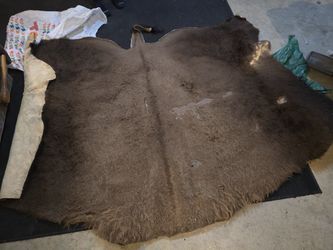Buffalo Skin Rug