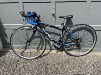 Specialized Allez Junior Comp 44cm Carbon Forks and SeatStay
