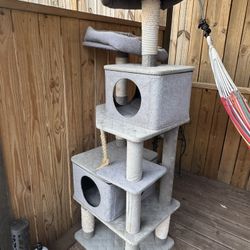 Cat  Home Tower