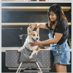 Very New Elevated Foldable Pets Bath Tub, Dogs, Cats, Showering