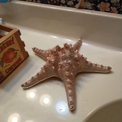 Decorative starfish- Rosegold