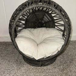Cat Or Dog House 