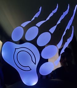 Chicago bears paws etched lighted mirror