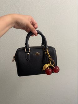 coach mini bag