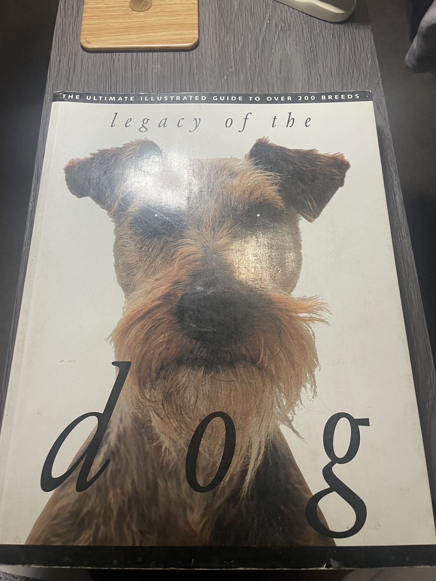 Legacy Of The Dog